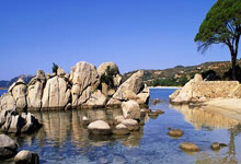 包含门兴遭受伤病困扰，遇辛苦局面在前方的词条